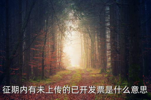 征期內(nèi)有未上傳的已開發(fā)票是什么意思