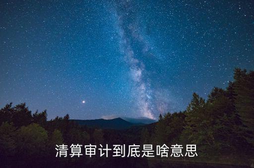 什么是申報清冊，電子稅務(wù)廳的重新獲取申報清冊是什么意思