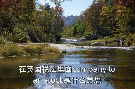 在英國稅法里面company loan stock是什么意思