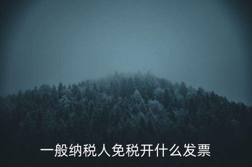 一般納稅人免稅開什么發(fā)票