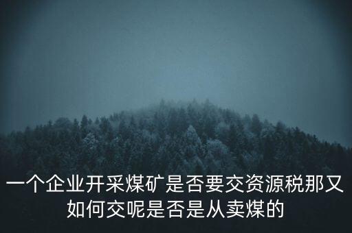 一個企業(yè)開采煤礦是否要交資源稅那又如何交呢是否是從賣煤的