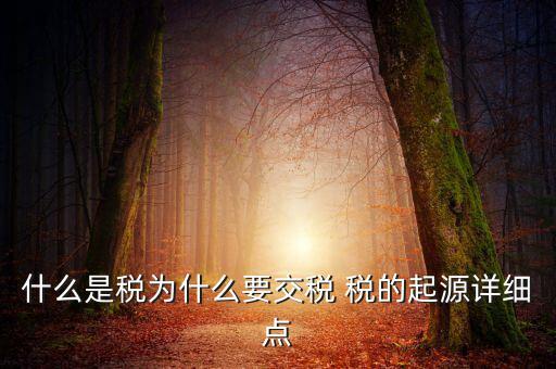 什么是稅為什么要交稅 稅的起源詳細(xì)點(diǎn)