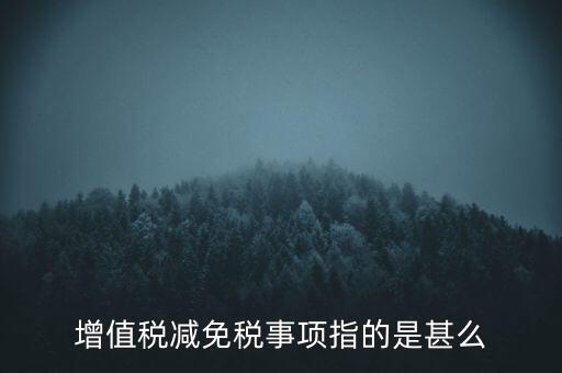 增值稅減免稅事項指的是甚么