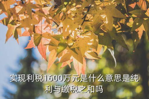 實(shí)現(xiàn)利稅1600萬元是什么意思是純利與繳稅之和嗎