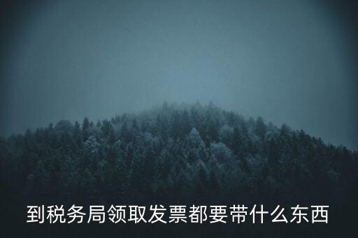 到稅務(wù)局領(lǐng)取發(fā)票都要帶什么東西