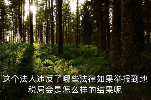 這個(gè)法人違反了哪些法律如果舉報(bào)到地稅局會(huì)是怎么樣的結(jié)果呢