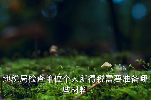 地稅局檢查單位個人所得稅需要準(zhǔn)備哪些材料