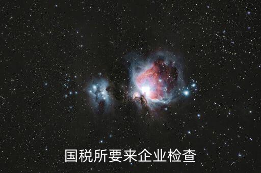 國稅督查組是做什么的，補(bǔ)交上一年的國稅國稅局把該款記入了今年的營業(yè)額中令今年的營