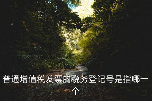 普通增值稅發(fā)票的稅務(wù)登記號是指哪一個(gè)