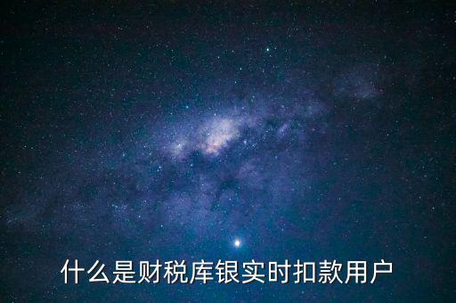 什么是財稅庫銀實時扣款用戶