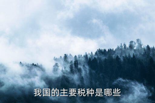 中國三大稅收是什么，中國境內(nèi)的稅收種類