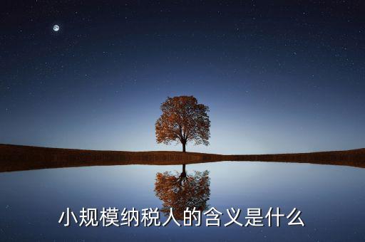 小規(guī)模納稅人的含義是什么