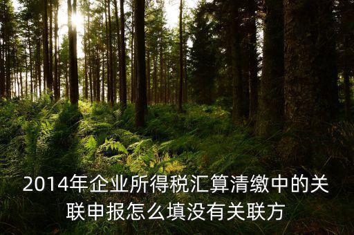 2014年企業(yè)所得稅匯算清繳中的關(guān)聯(lián)申報(bào)怎么填沒(méi)有關(guān)聯(lián)方