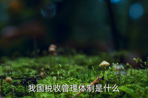 我國(guó)稅收管理體制是什么