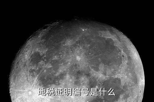 地稅證明編號(hào)是什么