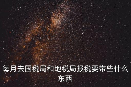 國稅大廳報稅需要什么，你好請教你一下如果我去國稅大廳報稅的話都需要帶什么東西填