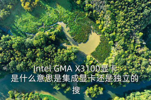 國稅集成理念是什么意思，Intel GMA X3100顯卡 是什么意思是集成顯卡還是獨立的  搜