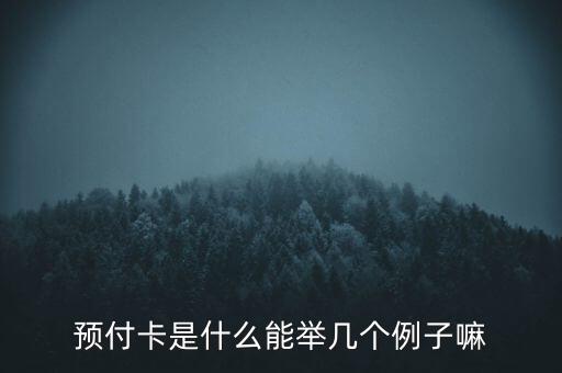 預(yù)付卡是什么能舉幾個(gè)例子嘛