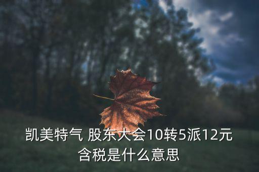 凱美特氣 股東大會10轉(zhuǎn)5派12元含稅是什么意思