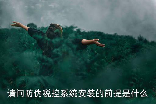 請(qǐng)問防偽稅控系統(tǒng)安裝的前提是什么