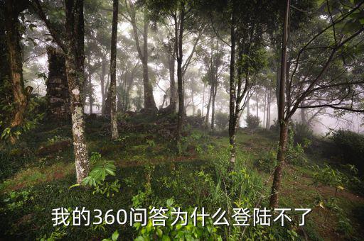 我的360問答為什么登陸不了