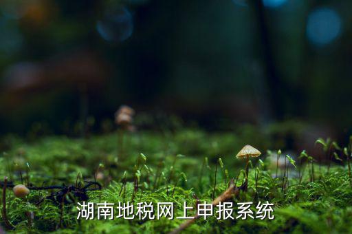 湖南省的地稅報稅軟件是什么，湖南地稅網(wǎng)上申報系統(tǒng)