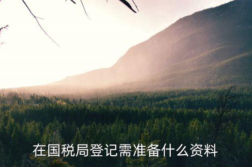 在國稅局登記需準(zhǔn)備什么資料