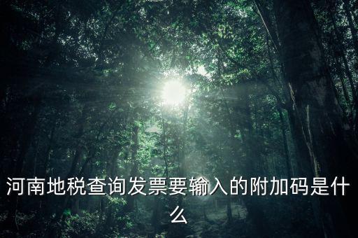 河南發(fā)票密碼是什么樣的，河南地稅查詢發(fā)票要輸入的附加碼是什么