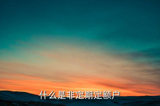 什么是非定期定額戶(hù)