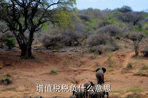 增值稅稅負什么意思