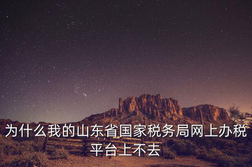 為什么我的山東省國(guó)家稅務(wù)局網(wǎng)上辦稅平臺(tái)上不去