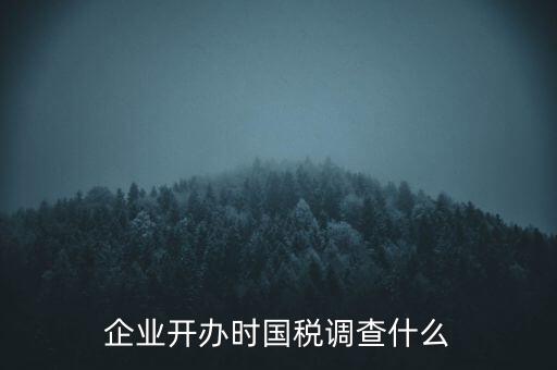 企業(yè)開(kāi)辦時(shí)國(guó)稅調(diào)查什么