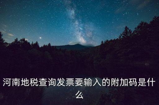 河南地稅查詢(xún)發(fā)票要輸入的附加碼是什么