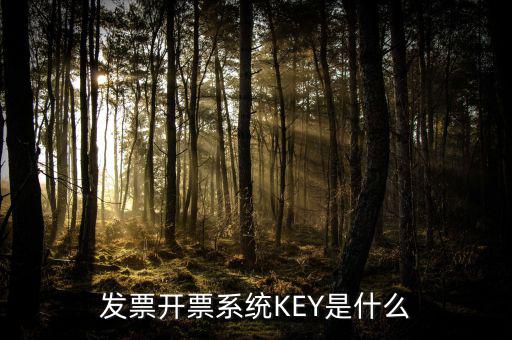 發(fā)票開票系統(tǒng)KEY是什么