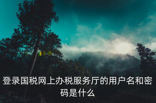 稅務(wù)查詢賬號密碼是什么意思，登錄國稅網(wǎng)上辦稅服務(wù)廳的用戶名和密碼是什么