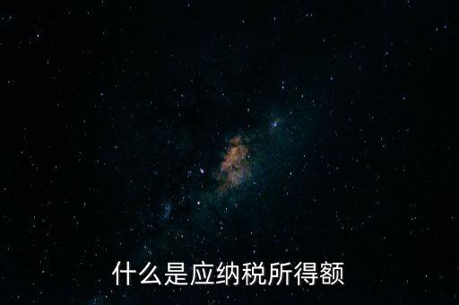 什么是應納稅所得額