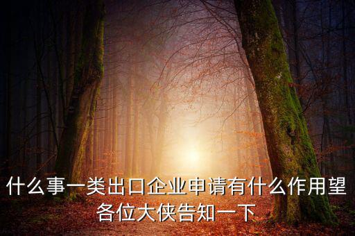 什么事一類出口企業(yè)申請(qǐng)有什么作用望各位大俠告知一下