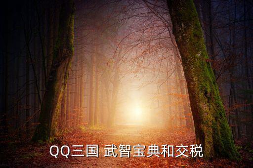 QQ三國 武智寶典和交稅