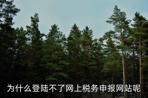 為什么登不上電子稅務(wù)局，為什么登陸不了網(wǎng)上稅務(wù)申報(bào)網(wǎng)站呢