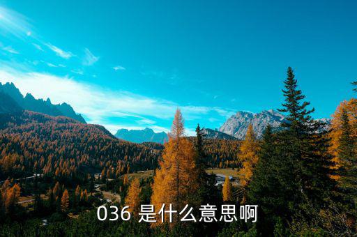 036是什么稅，036 是什么意思啊