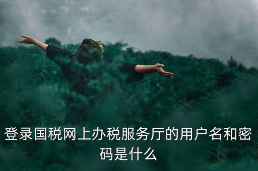 登錄國(guó)稅網(wǎng)上辦稅服務(wù)廳的用戶名和密碼是什么