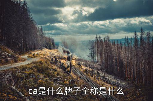 ca是什么牌子全稱是什么