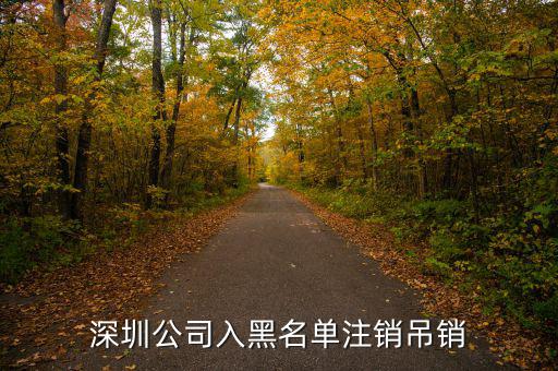 深圳公司入黑名單注銷吊銷