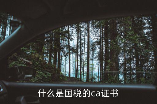 ca稅務(wù)數(shù)字證書是什么，什么是國稅的ca證書