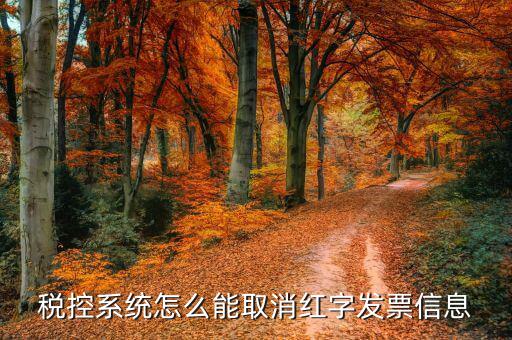 撤銷紅字信息表需要什么，我是購貨方開具紅字信息表錯誤去稅務局撤銷信息表查看描寫