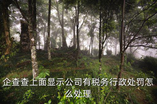 稅務(wù)行政處罰公示后什么時候消除，稅務(wù)處理決定書何時生效