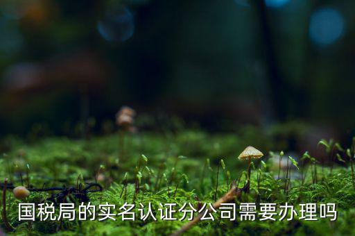 國稅局的實名認(rèn)證分公司需要辦理嗎