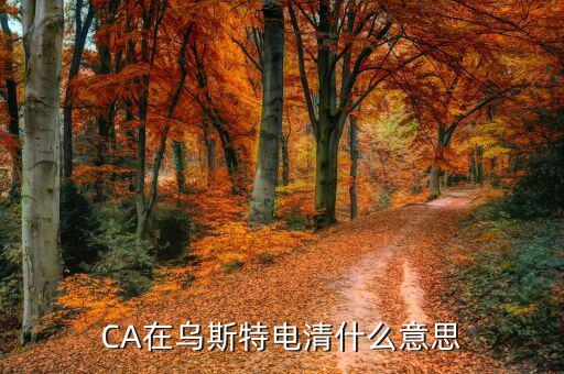 ca控件什么意思，CA在烏斯特電清什么意思