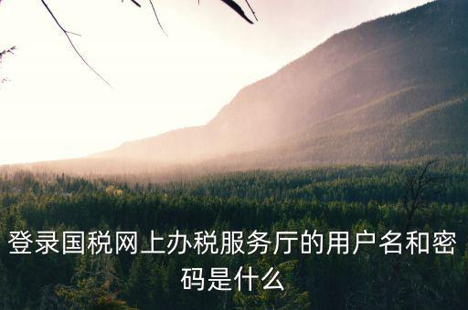 登錄國稅網(wǎng)上辦稅服務(wù)廳的用戶名和密碼是什么