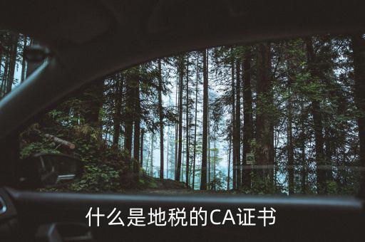 什么叫地稅CA用戶，什么是CA用戶